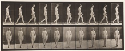 Płyta 15. Chodzenie autorstwa Eadweard Muybridge