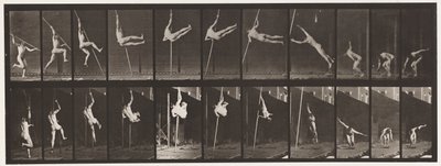 Płyta 164. Skoki; Skok o tyczce, 1872-1885 autorstwa Eadweard Muybridge