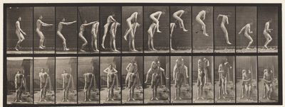 Płyta 166.Skoki; Nad plecami mężczyzny autorstwa Eadweard Muybridge