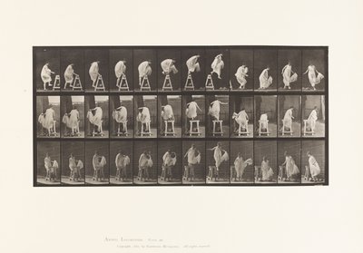 Płyta 172. Nadepnięcie na kozła; Skakanie, skręcanie, 1885 autorstwa Eadweard Muybridge