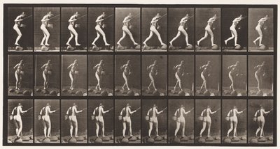 Tablica 176. Przeprawa przez strumyk po stopniach z wędką i koszem autorstwa Eadweard Muybridge