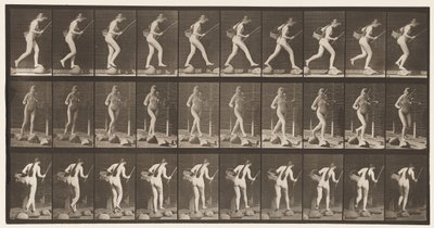 Tablica 177. Przeprawa przez strumyk na stepach z wędką i koszem autorstwa Eadweard Muybridge