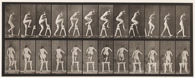 Płyta 178. Wchodzenie i przechodzenie przez kozły autorstwa Eadweard Muybridge