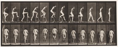 Talerz 180. Wchodzenie i przechodzenie przez krzesło autorstwa Eadweard Muybridge