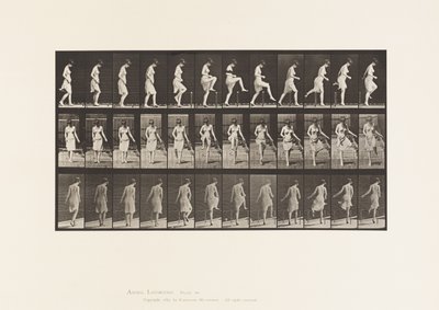 Płyta 181. Przechodzenie przez płot autorstwa Eadweard Muybridge