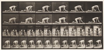 Płyta 182. Czołganie się na rękach i kolanach autorstwa Eadweard Muybridge