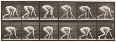 Płyta 183. Chodzenie na rękach i stopach autorstwa Eadweard Muybridge