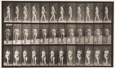 Płyta 18. Chodzenie, lewa ręka przez brzuch, 1872-1885 autorstwa Eadweard Muybridge