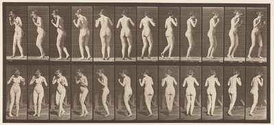 Płyta 195. Walc tańczący autorstwa Eadweard Muybridge