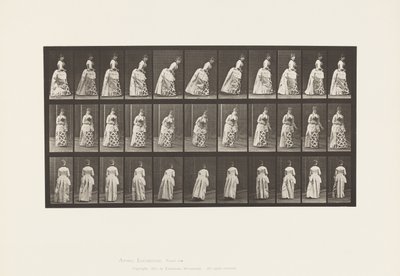 Tabliczka 198. Rozprawa sądowa, 1885 autorstwa Eadweard Muybridge