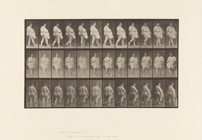 Płyta 19. Chodzenie, rozpoczęcie odwracania się autorstwa Eadweard Muybridge