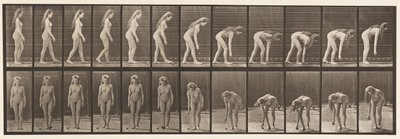 Płyta 204. Zatrzymywanie się, aby podnieść piłkę autorstwa Eadweard Muybridge