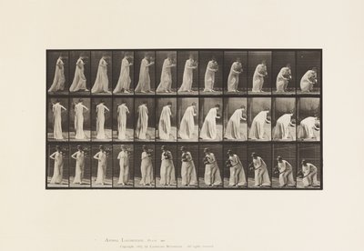 Talerz 205. Noszenie i pochylanie się z wazą, 1885 autorstwa Eadweard Muybridge