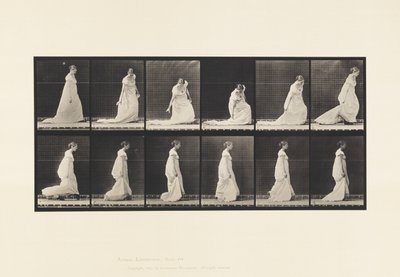 Tabliczka 207. Pociąg do schylania się i podnoszenia, 1885 autorstwa Eadweard Muybridge