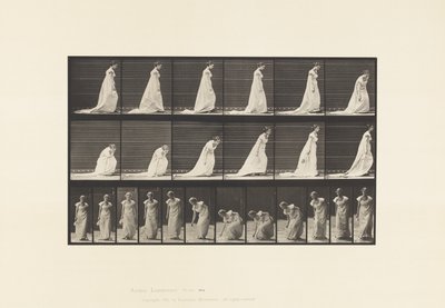 Płyta 209. Pochylenie i podniesienie chusteczki, 1885 autorstwa Eadweard Muybridge