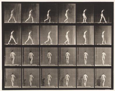 Płyta 20. Chodzenie, zgięty prawy łokieć autorstwa Eadweard Muybridge
