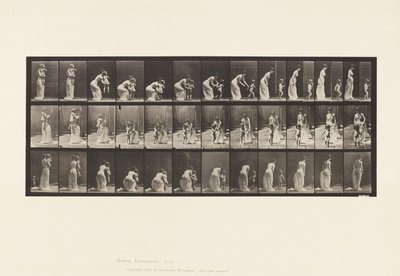 Płyta 215. Umieszczanie dziecka autorstwa Eadweard Muybridge