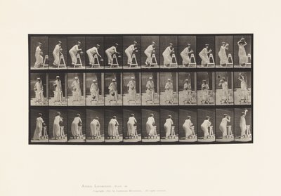 Płyta 216. Zginanie w celu napełnienia słoika z wodą; Umieszczanie słoika na głowie autorstwa Eadweard Muybridge