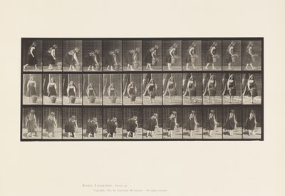 Talerz 217. Pochylanie, podnoszenie i noszenie 30-funtowego kosza, 1885 autorstwa Eadweard Muybridge