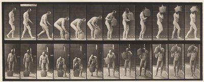 Płyta 218. Pochylanie się i podnoszenie pełnego gąsiora na ramię autorstwa Eadweard Muybridge
