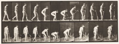 Tabliczka 219. Pochylanie i podnoszenie miotły i zamiatanie autorstwa Eadweard Muybridge