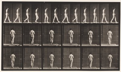 Płyta 21. Chodzenie, oba łokcie zgięte autorstwa Eadweard Muybridge