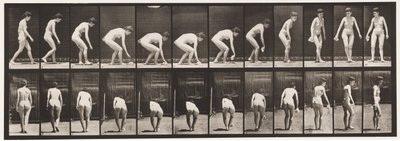 Płyta 220. Pochylanie i podnoszenie chustki i obracanie autorstwa Eadweard Muybridge