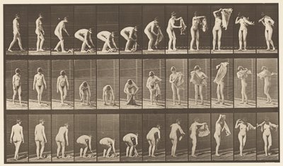 Tablica 227. Podnoszenie płótna z ziemi, 1872-1885 autorstwa Eadweard Muybridge