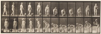 Płyta 228. Obracanie i podnoszenie słoika z wodą z ziemi autorstwa Eadweard Muybridge