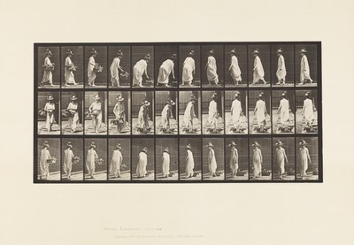 Płyta 229. Umieszczanie kosza na ziemi i obracanie autorstwa Eadweard Muybridge