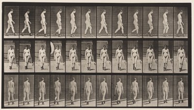 Płyta 22. Chodzenie, w butach na wysokim obcasie, 1872-1885 autorstwa Eadweard Muybridge