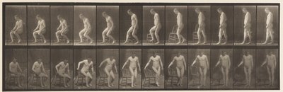Tabliczka 236. Umieszczanie Diary i siadanie, 1885 autorstwa Eadweard Muybridge