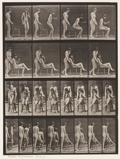 Tabliczka 239. Dwa modele; jeden stojący, drugi siedzący, skrzyżowane nogi autorstwa Eadweard Muybridge