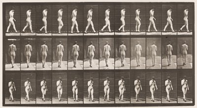 Płyta 23. Chodzenie, prawa ręka przy brodzie, buty na wysokim obcasie autorstwa Eadweard Muybridge