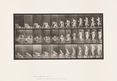 Płyta 248. Siadanie na ziemi autorstwa Eadweard Muybridge