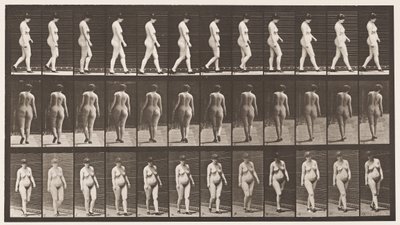 Płyta 24. Chodzenie z butami na wysokim obcasie autorstwa Eadweard Muybridge