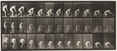 Płyta 252. Klęcząc na prawym kolanie i szorując podłogę, 1872-1885 autorstwa Eadweard Muybridge