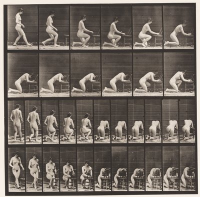 Talerz 254. Klękanie, łokcie na krześle, ręce splecione autorstwa Eadweard Muybridge