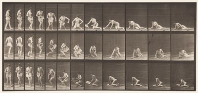 Tablica 256. Leżenie na ziemi i czytanie, 1872-1885 autorstwa Eadweard Muybridge