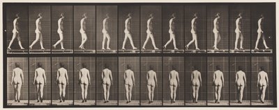Płyta 25. Chodzenie z butami na wysokim obcasie autorstwa Eadweard Muybridge