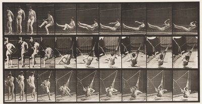 Tabliczka 261. Wsiadanie do hamaka, 1872-1885 autorstwa Eadweard Muybridge