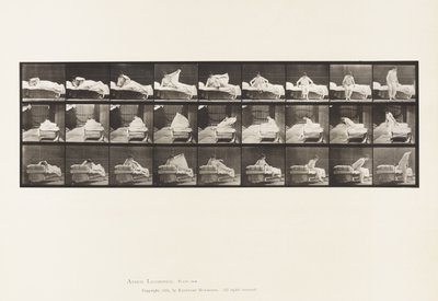 Płyta 265. Wstawanie z łóżka i przygotowywanie się do uklęknięcia autorstwa Eadweard Muybridge
