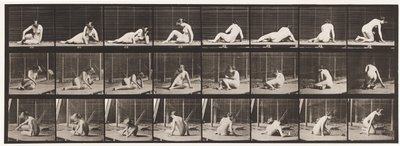 Płyta 266. Skręcanie i zmiana pozycji, gdy jesteś jeszcze na ziemi autorstwa Eadweard Muybridge