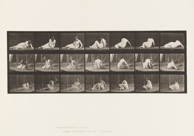 Tablica 267. Zawracanie i zmiana pozycji na ziemi, 1885 autorstwa Eadweard Muybridge