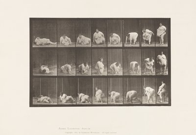 Tablica 268. Powstanie z ziemi, 1885 autorstwa Eadweard Muybridge