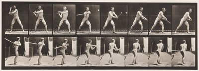 Płytka 279.Base-piłka; Mrugnięcie, 1885 autorstwa Eadweard Muybridge