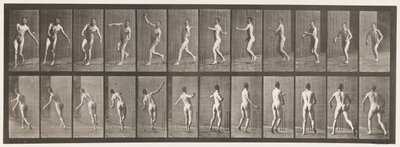 Płyta 290.Cricket; Kręgle na ramię, 1885 autorstwa Eadweard Muybridge