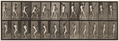 Płyta 292.Cricket; Mrugnięcie; Wycofać się, 1885 autorstwa Eadweard Muybridge