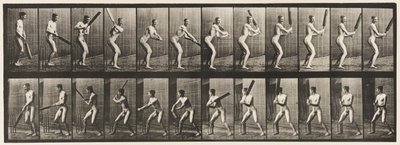 Płyta 293.Cricket; Mrugnięcie; Cięcie na plecach, 1885 autorstwa Eadweard Muybridge