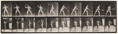 Płyta 294. Tenis na trawniku; Porcja autorstwa Eadweard Muybridge
